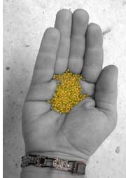 hand with gold nuggets
