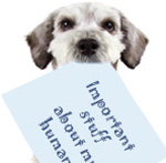 dog with info sheet in mouth